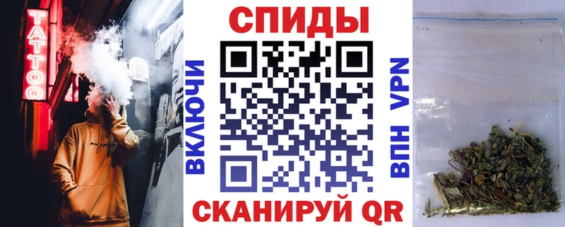 блэк спрут ссылки Вытегра Бутират Butirat
