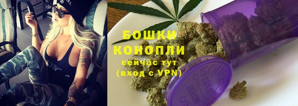 не бодяженный Бородино