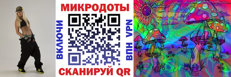 купить наркотик  Вытегра  Псилоцибиновые грибы Psilocybe 